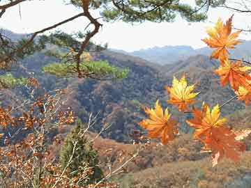 大乐透近10期周一奖号分布：前区4尾连开4期