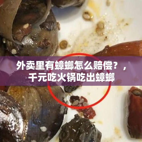 外卖里有蟑螂怎么赔偿？，千元吃火锅吃出蟑螂