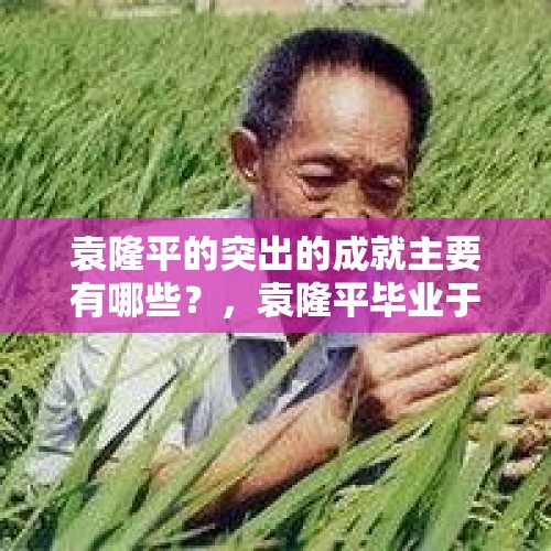 袁隆平的突出的成就主要有哪些？，袁隆平毕业于哪所大学？