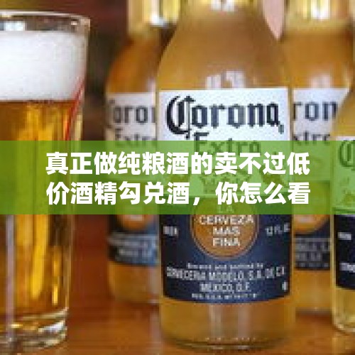 真正做纯粮酒的卖不过低价酒精勾兑酒，你怎么看？，美国疫情如此泛滥是没有能力控制还是故意？背后的逻辑是什么？