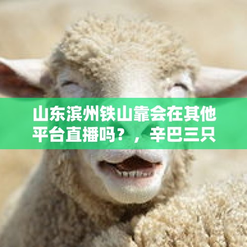 山东滨州铁山靠会在其他平台直播吗？，辛巴三只羊互撕