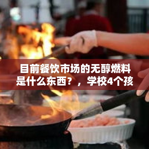 目前餐饮市场的无醇燃料是什么东西？，学校4个孩子吃1盆菜