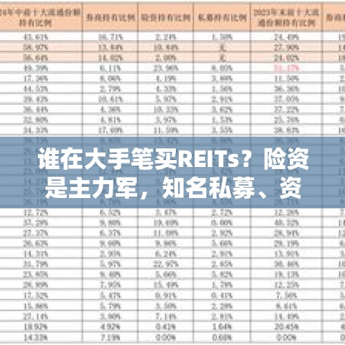 谁在大手笔买REITs？险资是主力军，知名私募、资管也来了｜基金放大镜