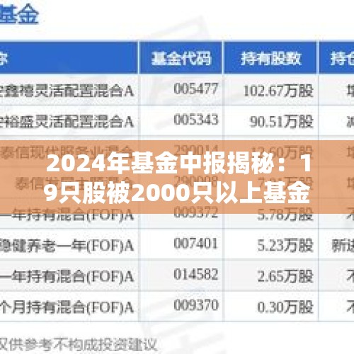 2024年基金中报揭秘：19只股被2000只以上基金持有，净买入/卖出TOP30股名单曝光 9股换手率爆表超2500%！