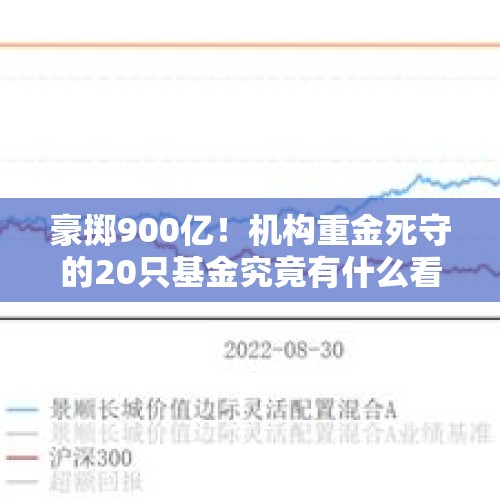 豪掷900亿！机构重金死守的20只基金究竟有什么看头？