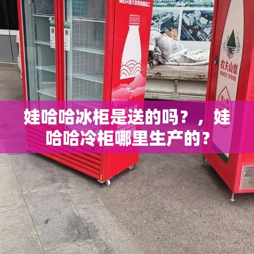 娃哈哈冰柜是送的吗？，娃哈哈冷柜哪里生产的？