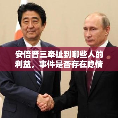 安倍晋三牵扯到哪些人的利益，事件是否存在隐情？，林芳正正式宣布参选