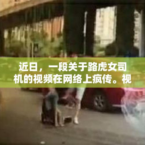 近日，一段关于路虎女司机的视频在网络上疯传。视频中，一名女司机在道路上行驶时，因涉嫌寻衅滋事被警方拦下。然而，警方调查后却认为，该女司机的行为并不构成寻衅滋事。