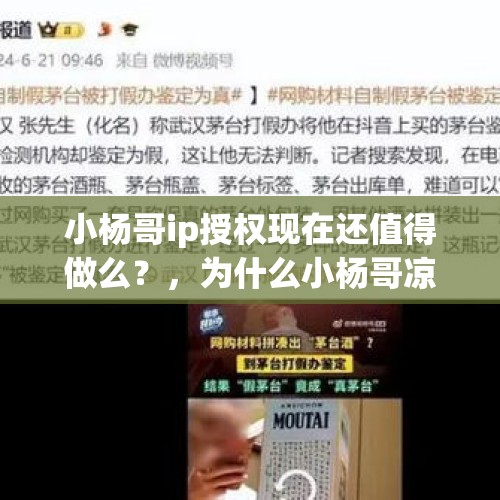 小杨哥ip授权现在还值得做么？，为什么小杨哥凉不掉？