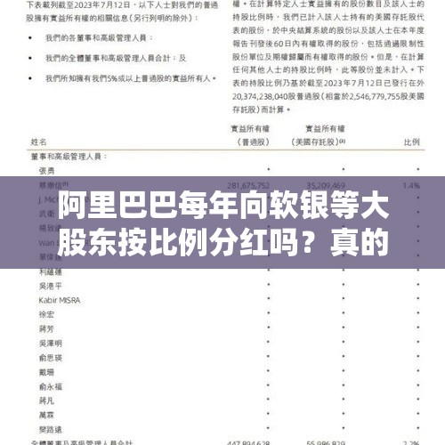 阿里巴巴每年向软银等大股东按比例分红吗？真的吗？，中国这一票投给非洲