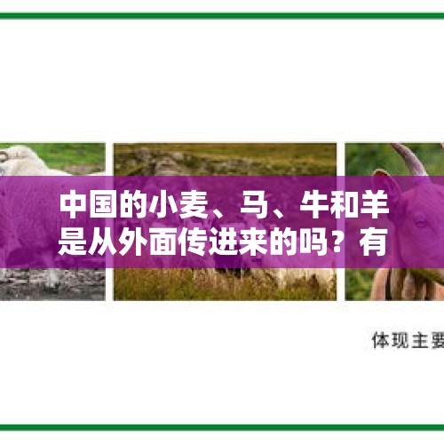 中国的小麦、马、牛和羊是从外面传进来的吗？有何历史依据？，什么食物是用国家命名的？