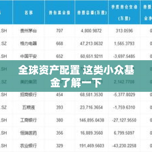 全球资产配置 这类小众基金了解一下