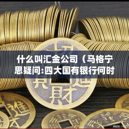 什么叫汇金公司（马格宁思疑问:四大国有银行何时被外资控股?汇金公司是外资吗?_百度知 ...）