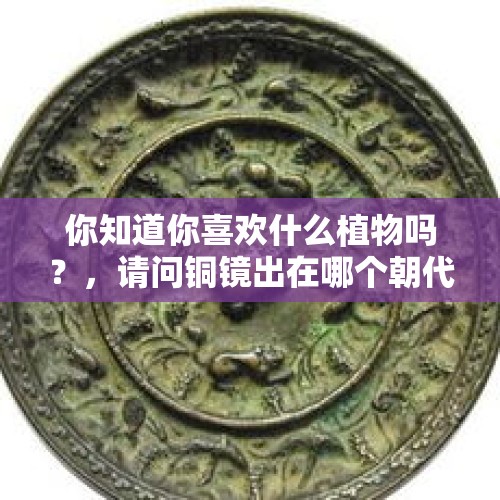 你知道你喜欢什么植物吗？，请问铜镜出在哪个朝代？