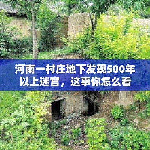 河南一村庄地下发现500年以上迷宫，这事你怎么看？，郑州学生抄近道出门被拦，保安当头一棍打懵学生致倒地:涉事保安被开除, 你怎么看？