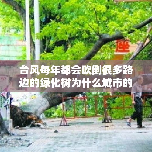 台风每年都会吹倒很多路边的绿化树为什么城市的绿化树还不改变？，细数那些年我们经历过哪些台风？