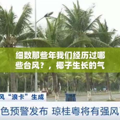 细数那些年我们经历过哪些台风？，椰子生长的气候条件？