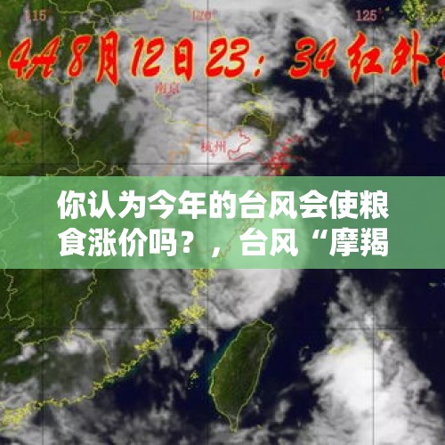 你认为今年的台风会使粮食涨价吗？，台风“摩羯”对浙江全省有哪些影响？