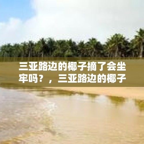 三亚路边的椰子摘了会坐牢吗？，三亚路边的椰子能摘吗？