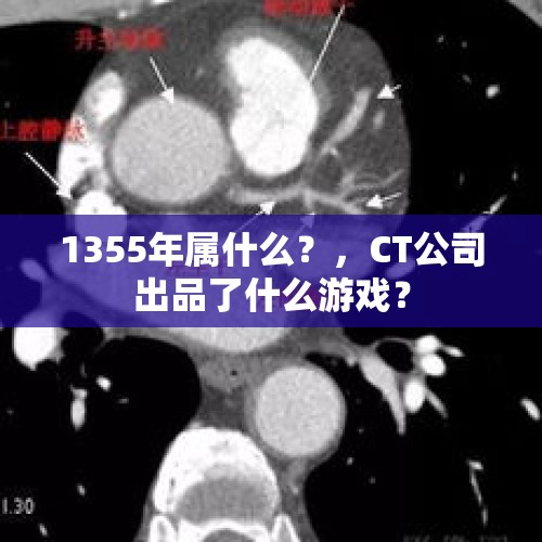 1355年属什么？，CT公司出品了什么游戏？