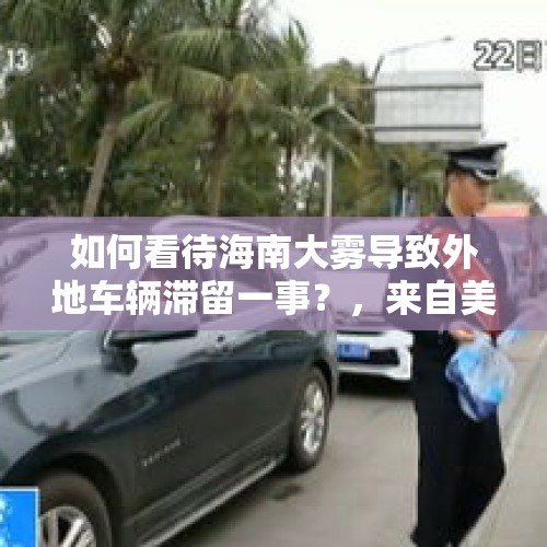 如何看待海南大雾导致外地车辆滞留一事？，来自美洲的外侵物种红火蚁有多危险？