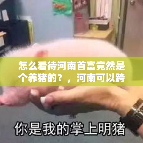 怎么看待河南首富竟然是个养猪的？，河南可以跨市运猪？