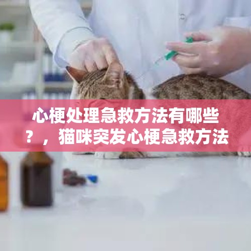 心梗处理急救方法有哪些？，猫咪突发心梗急救方法？