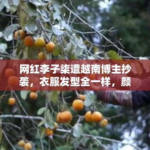 网红李子柒遭越南博主抄袭，衣服发型全一样，颜值却成败笔，你怎么看？，神舟十四号感想？