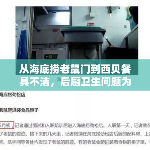 从海底捞老鼠门到西贝餐具不洁，后厨卫生问题为何会频繁曝光？，麦当劳推出新品，蛋白质加量不加价，牛肉汉堡出现蛆蠕动，你怎么看？