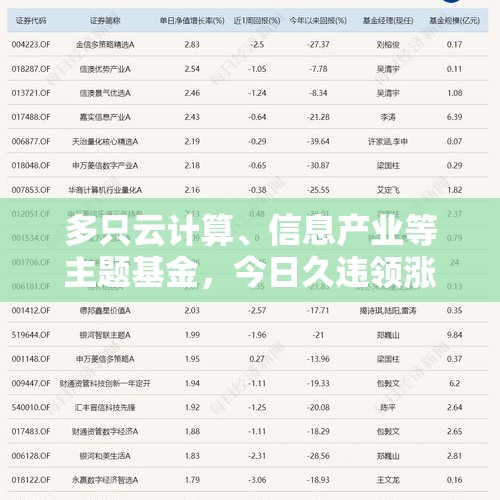 多只云计算、信息产业等主题基金，今日久违领涨