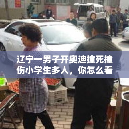 辽宁一男子开奥迪撞死撞伤小学生多人，你怎么看？，你怎样看待东北一小学门前，一男子开车撞向多名小学生的事件？