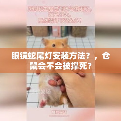 眼镜蛇尾灯安装方法？，仓鼠会不会被撑死？