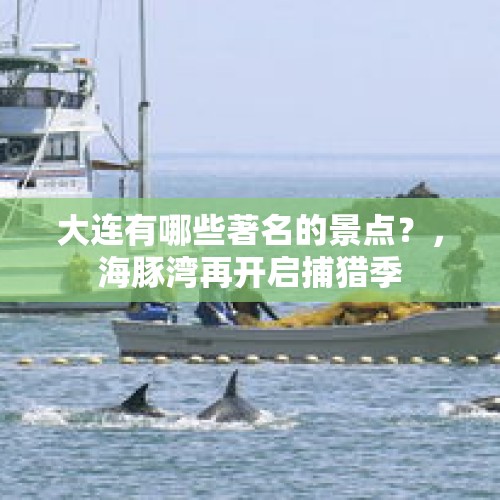 大连有哪些著名的景点？，海豚湾再开启捕猎季