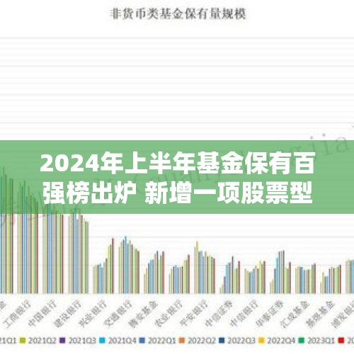 2024年上半年基金保有百强榜出炉 新增一项股票型指基排名