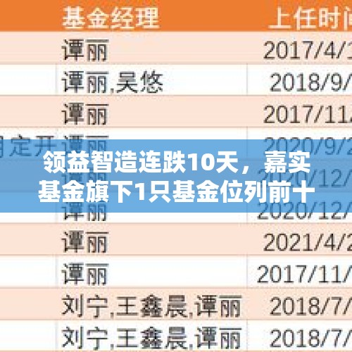 领益智造连跌10天，嘉实基金旗下1只基金位列前十大股东