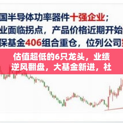 估值超低的6只龙头，业绩逆风翻盘，大基金新进，社保国家队重仓