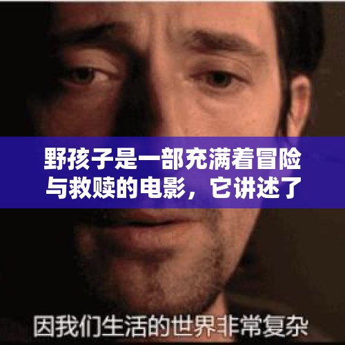 野孩子是一部充满着冒险与救赎的电影，它讲述了一群被社会遗弃的孩子们，如何在荒野中生存并最终找到自己的归宿。这部电影最动人的地方，就在于它深刻地描绘了救赎的力量。