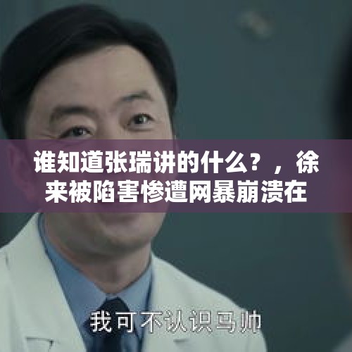 谁知道张瑞讲的什么？，徐来被陷害惨遭网暴崩溃在第几集？