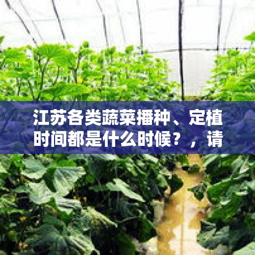 江苏各类蔬菜播种、定植时间都是什么时候？，请给我全368只口袋妖怪图鉴？