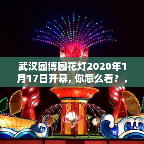 武汉园博园花灯2020年1月17日开幕, 你怎么看？，五一武汉地铁人多吗？