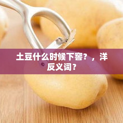 土豆什么时候下窖？，洋反义词？