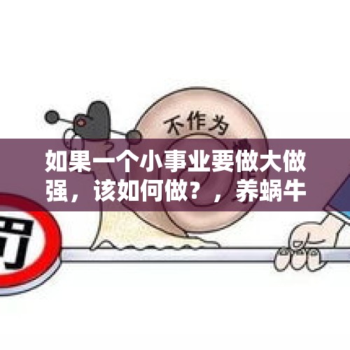 如果一个小事业要做大做强，该如何做？，养蜗牛生380只宝宝