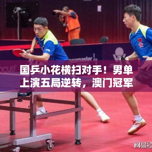 国乒小花横扫对手！男单上演五局逆转，澳门冠军赛八强争夺战开启