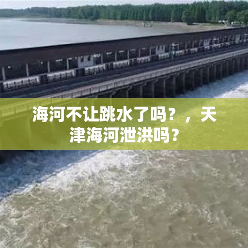 海河不让跳水了吗？，天津海河泄洪吗？