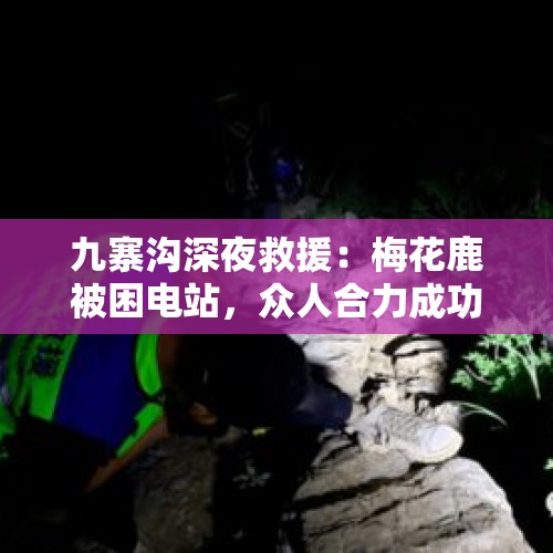 九寨沟深夜救援：梅花鹿被困电站，众人合力成功营救