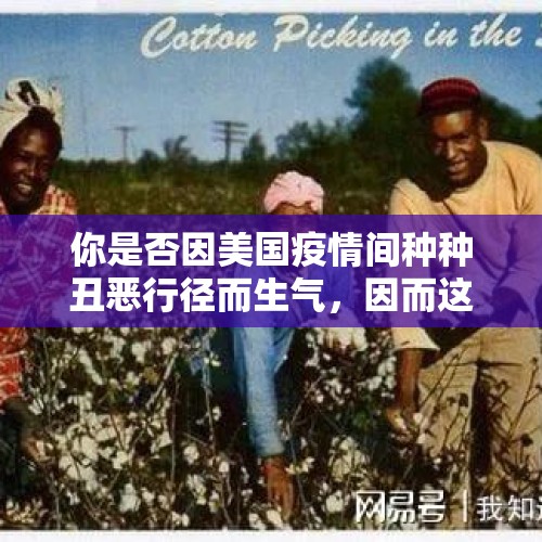 你是否因美国疫情间种种丑恶行径而生气，因而这样的信息看够了？，如果美国无故扣押他国购买的美债？算不算是一种宣战行为？