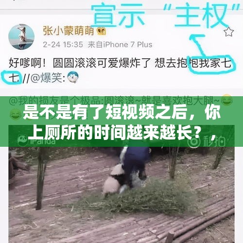 是不是有了短视频之后，你上厕所的时间越来越长？，为什么有的网红都爱在卫生间里自拍？