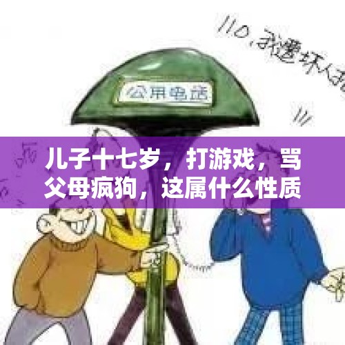 儿子十七岁，打游戏，骂父母疯狗，这属什么性质？，干部辱骂群众疯狗