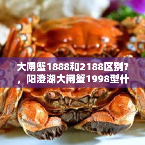 大闸蟹1888和2188区别？，阳澄湖大闸蟹1998型什么意思？