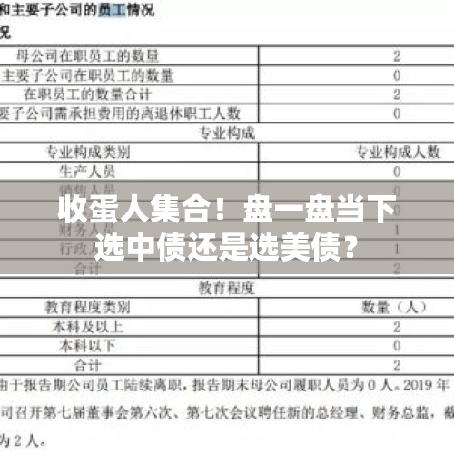 收蛋人集合！盘一盘当下选中债还是选美债？